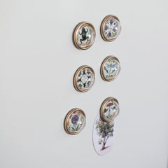 Animal & Botanical Magnet Set